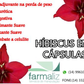 Comprar o produto de hibiscus em cápsulas em Outros em Ourinhos, SP por Solutudo