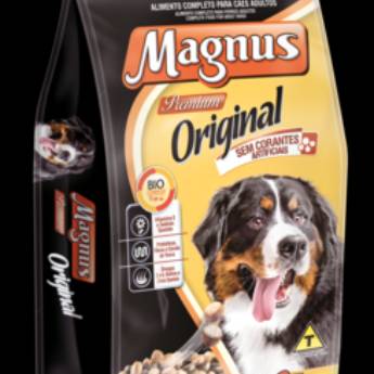 Comprar o produto de Magnus Original em Ração para Cachorros em Ourinhos, SP por Solutudo
