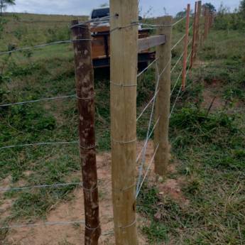 Comprar o produto de Cercas com Qualidade – Souza Jardinagem em Santa Cruz do Rio Pardo em Jardinagem em Santa Cruz do Rio Pardo, SP por Solutudo