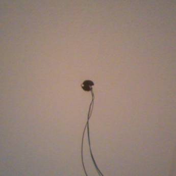 Comprar o produto de serviços em A Classificar em Botucatu, SP por Solutudo