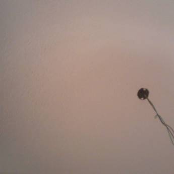 Comprar o produto de serviços em A Classificar em Botucatu, SP por Solutudo