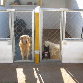 Comprar o produto de Hospedagem para cães e gatos em Avaré em Outros em Avaré, SP por Solutudo