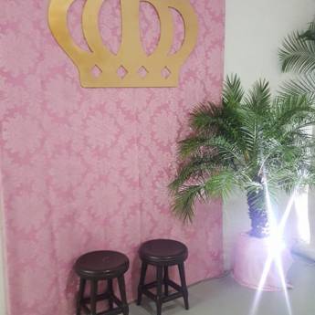 Comprar o produto de Estripulia Festas em Outros Serviços em Birigui, SP por Solutudo