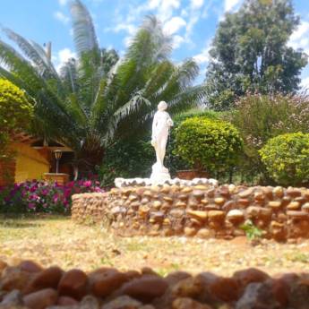 Comprar o produto de Primavera na Pousada em A Classificar em Itatiba, SP por Solutudo