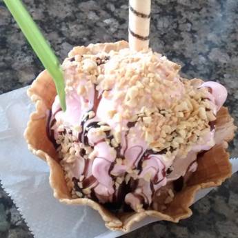 Comprar o produto de Sorvete  em Outros Serviços em São Manuel, SP por Solutudo