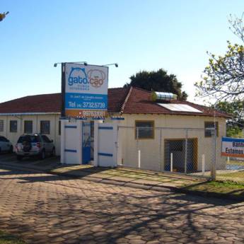 Comprar o produto de Veterinário  em Avaré em Outros Serviços em Avaré, SP por Solutudo