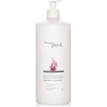 Comprar o produto de Natura -Condicionador Hidratação Reparadora Plant - 1000ml em Condicionadores em Itatiba, SP por Solutudo