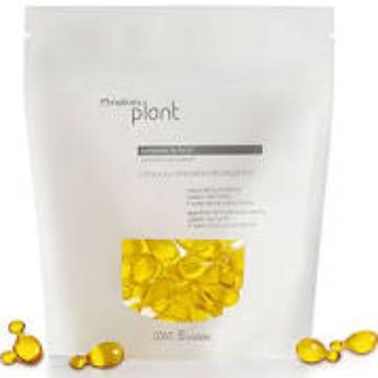 Comprar o produto de Cápsulas Capilares Fortificantes Natura Plant - 30und de 0,35ml em Cremes e Géis em Itatiba, SP por Solutudo