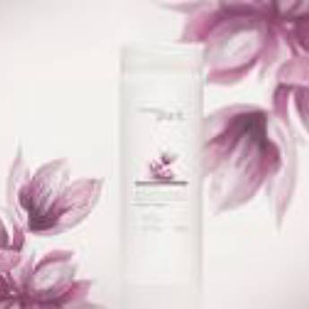 Comprar o produto de Shampoo Revitalização Pós-química Plant - 300ml em Outros em Itatiba, SP por Solutudo