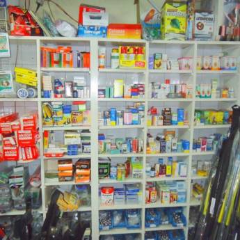 Comprar o produto de Remédio para animais em Avaré em Animais em Avaré, SP por Solutudo