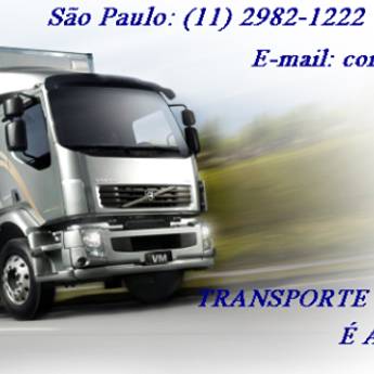 Comprar o produto de Ragazzi Transportes  em Outros Serviços em São Manuel, SP por Solutudo