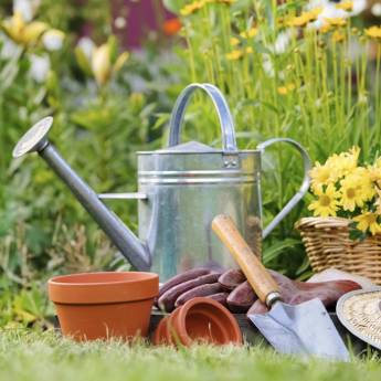 Comprar o produto de Jardinagem em Outros Serviços em Itatiba, SP por Solutudo