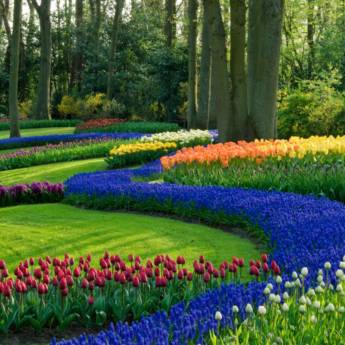 Comprar o produto de Jardinagem em Outros Serviços em Itatiba, SP por Solutudo