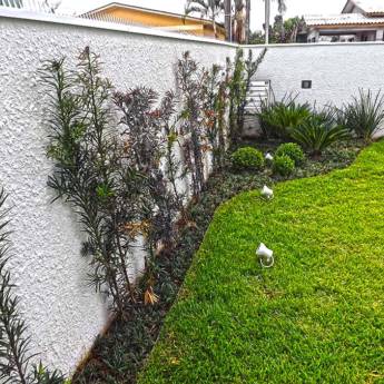Comprar o produto de Jardinagem em Outros Serviços em Itatiba, SP por Solutudo