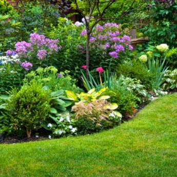 Comprar o produto de Jardinagem em Outros Serviços em Itatiba, SP por Solutudo