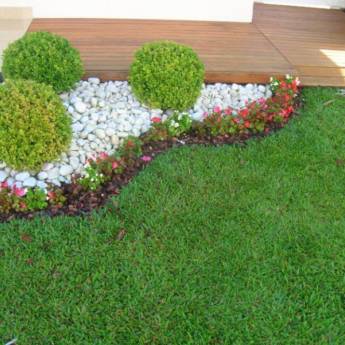 Comprar o produto de Jardinagem em Outros Serviços em Itatiba, SP por Solutudo