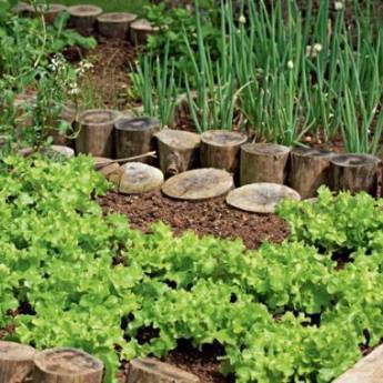 Comprar o produto de Jardinagem em Outros Serviços em Itatiba, SP por Solutudo