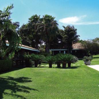 Comprar o produto de Paisagismo Rural em Outros Serviços em Itatiba, SP por Solutudo