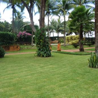 Comprar o produto de Paisagismo em Outros Serviços em Itatiba, SP por Solutudo