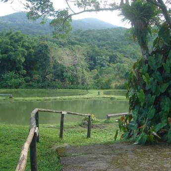 Comprar o produto de Paisagismo Rural em Outros Serviços em Itatiba, SP por Solutudo