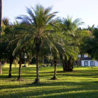 Comprar o produto de Paisagismo Rural em Outros Serviços em Itatiba, SP por Solutudo
