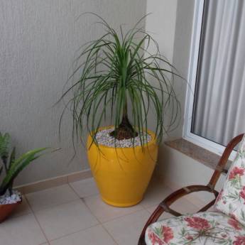 Comprar o produto de Nossos Serviços em Outros Serviços em Itatiba, SP por Solutudo