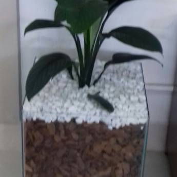 Comprar o produto de Nossos Serviços em Outros Serviços em Itatiba, SP por Solutudo