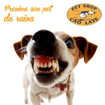 Comprar o produto de Previna seu pet da raiva!!!! em Animais em Jundiaí, SP por Solutudo
