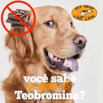 Comprar o produto de Você sabe o que é Teobromina? em Cachorros em Jundiaí, SP por Solutudo