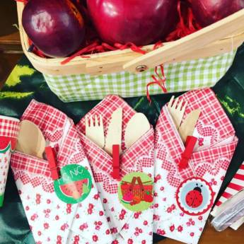 Comprar o produto de Artigos para Festas Piquenique em A Classificar em Araçatuba, SP por Solutudo