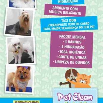 Comprar o produto de Tudo para o seu Cãozinho  em Higiene e Limpeza em Araçatuba, SP por Solutudo