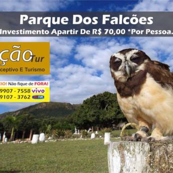 Comprar o produto de Parque dos Falcões em Outros Serviços em Aracaju, SE por Solutudo