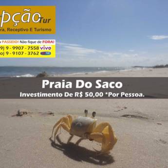 Comprar o produto de Praia do saco em Outros Serviços em Aracaju, SE por Solutudo