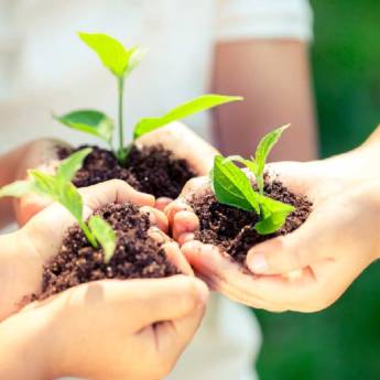 Comprar o produto de Técnico em Meio Ambiente (EAD) em Mais Categorias em Botucatu, SP por Solutudo