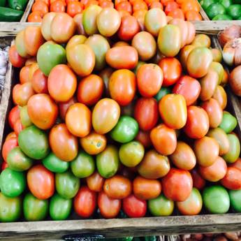 Comprar o produto de Tomate em Agro, Indústria e Comércio em Botucatu, SP por Solutudo