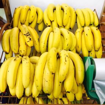 Comprar o produto de Banana em Agro, Indústria e Comércio em Botucatu, SP por Solutudo