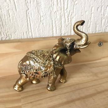 Comprar o produto de Elefante Resina em Decoração em São Carlos, SP por Solutudo