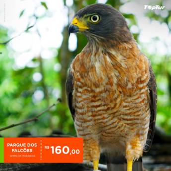 Comprar o produto de Parque dos Falcões  em Outros Serviços em Aracaju, SE por Solutudo