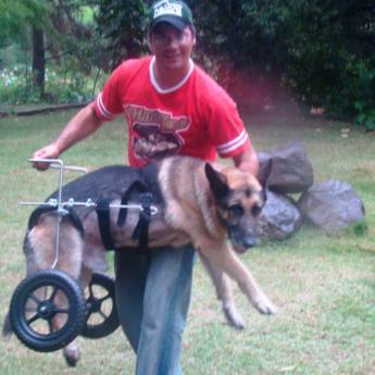 Comprar o produto de CARREGANDO em Animais em Botucatu, SP por Solutudo