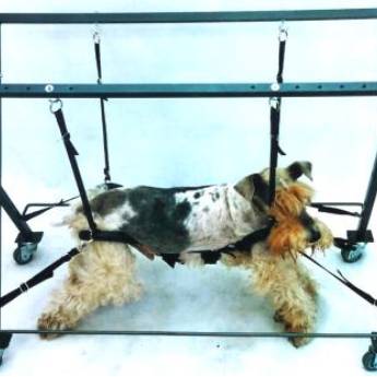 Comprar o produto de SUPORTE ACUPUNCTURA  em Animais em Botucatu, SP por Solutudo