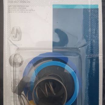 Comprar o produto de Reparo valv. Hydra Antiga VCR-VCE  em Materiais Hidráulicos em Bauru, SP por Solutudo