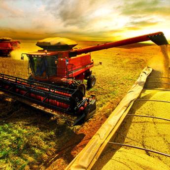 Comprar o produto de Agronegócio em A Classificar em Botucatu, SP por Solutudo