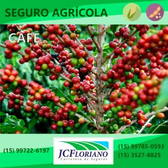 Comprar o produto de Seguro da Cultura de Café em Outros Serviços em Itapetininga, SP por Solutudo