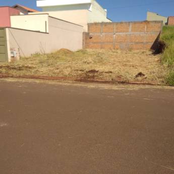 Comprar o produto de ROÇAGEM ÚNICA em A Classificar em Botucatu, SP por Solutudo