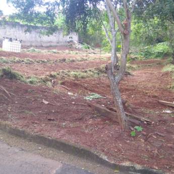 Comprar o produto de LIMPEZA E RETIRADA DE MATO em A Classificar em Botucatu, SP por Solutudo