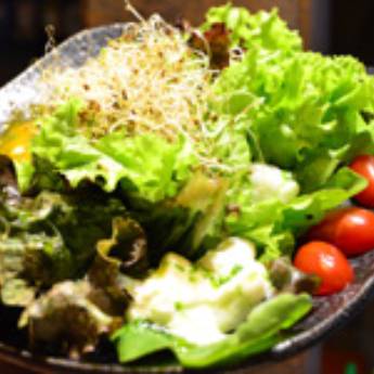 Comprar o produto de Saladas em Alimentação Saudável em Aracaju, SE por Solutudo