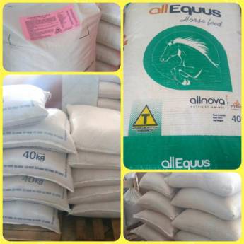 Comprar o produto de Ração cavalo em Avaré em Mais Categorias em Avaré, SP por Solutudo