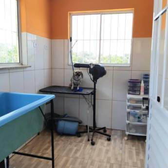 Comprar o produto de Banho e Tosa em Nossos Diferenciais  pela empresa Hotel da Vivi Hotel para Cachorros e Hotel para Gatos em Atibaia em Atibaia, SP por Solutudo