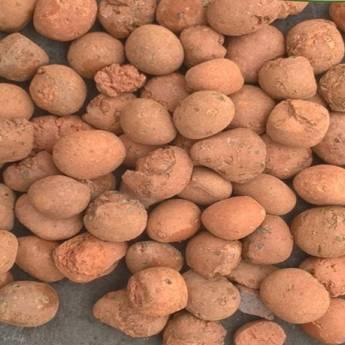 Comprar o produto de Argila Expandida em A Classificar em Assis, SP por Solutudo