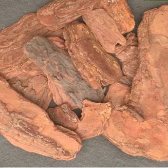 Comprar o produto de Casca de Pinus em A Classificar em Assis, SP por Solutudo